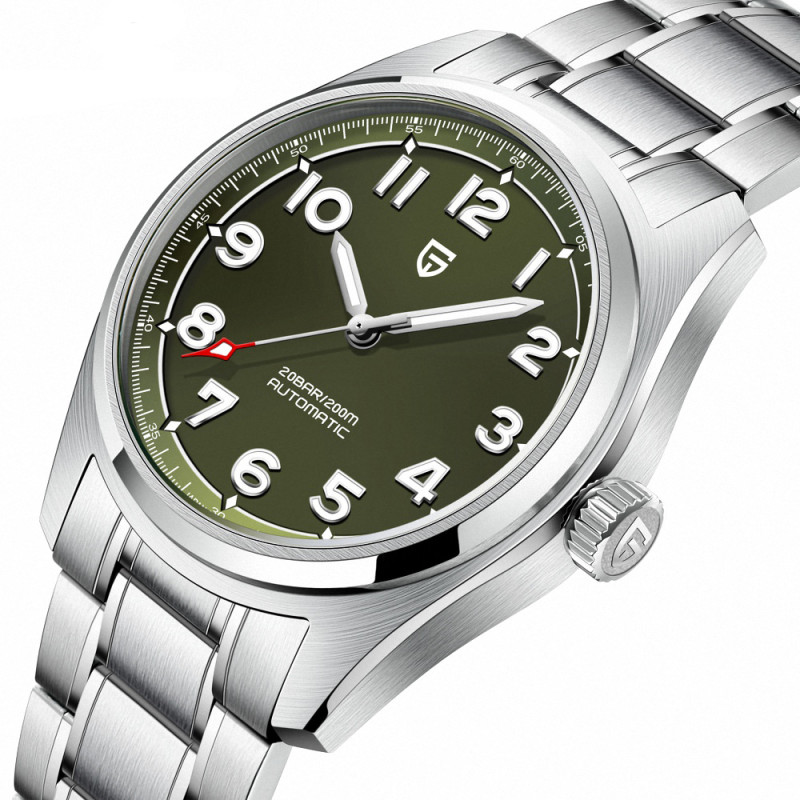 Watch Pagani Design PD-1717 Silver-Green
