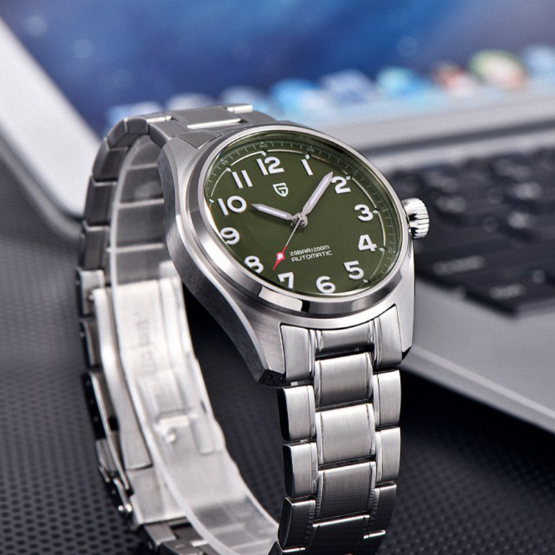 Watch Pagani Design PD-1717 Silver-Green