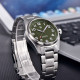 Watch Pagani Design PD-1717 Silver-Green