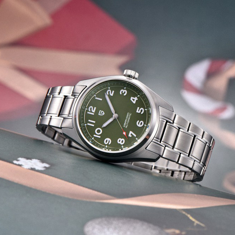 Watch Pagani Design PD-1717 Silver-Green