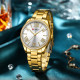 Watch Curren 9088 Gold-White