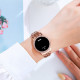 Watch Skmei 1669RG Rose Gold