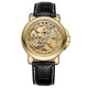 Watch Forsining 8156 Black-Gold