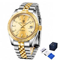 Watch Pagani Design PD-1645 Silver-Gold-Gold