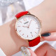 Watch Skmei 1724RGRD Rose Gold-Red