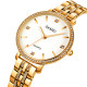 Watch Skmei 2006GDWT Gold-White