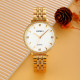 Watch Skmei 2006GDWT Gold-White