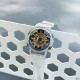 Watch Sanda 298 Gold