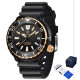 Watch Pagani Design PD-1695 Black-Gold