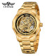 Watch Forsining 8249 Gold Black