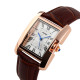 Годинник Skmei 1085BN Brown