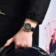 Watch Pagani Design YS008 Rose Gold-Brown