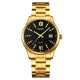 Watch Skmei 2158GDBK Gold-Black