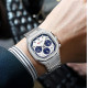 Watch Curren 8459 Silver-White