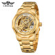 Watch Forsining 8249 Gold