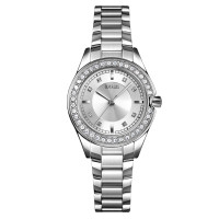 Watch Skmei 1534SI Silver
