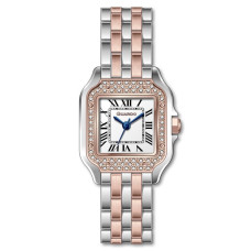 Часы  GUARDO 012830-5
