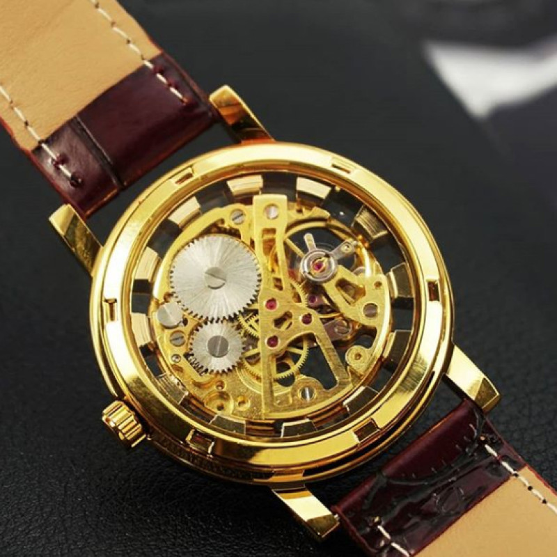 Watch Winner 8005 Brown-Gold