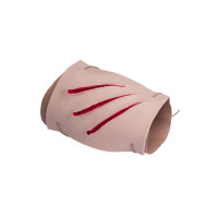 Wild Animal Attack Simulation Model, M-022 - EASY PRACTICE - Advanced Training Status