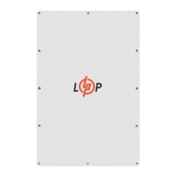 LP LiFePO4 Battery 51.2V - 100 Ah (5120Wh) (BMS JK 100A/50A) W RS485/CAN WH