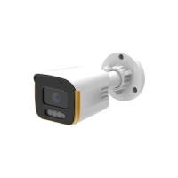 Hybrid Outdoor Camera GV-203-GHD-H-СOK50-30