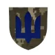 Шеврон ЗСУ Механізовані війська (7*8) Піксель (9798)