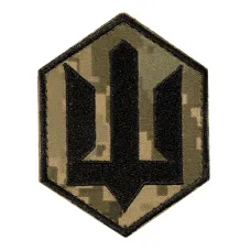 Шеврон ЗСУ СБС Піксель (9756)