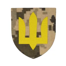 Шеврон ЗСУ Сухопутні війська (7*8) Піксель (9797)