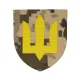 Шеврон ЗСУ Сухопутні війська (7*8) Піксель (9797)