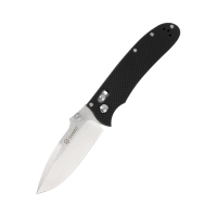 Folding Knife Ganzo D704-BK Black (D2 Steel)