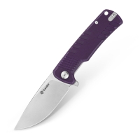 Folding Knife Ganzo G769-PL