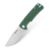 Folding Knife Ganzo G769-GR