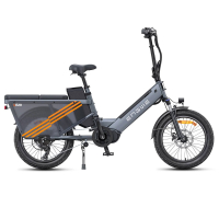 Electric Bicycle Engwe LE20 Single Battery (750W, 19.2Ah, 48V), 20