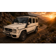 Експедиційний алюмінієвий багажник на Mercedes G-Class W463 (1990-2018)