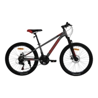 Bicycle SPARK MOVE (wheels - 24", aluminium frame - 12")