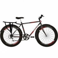 Bicycle SPARK AVENGER 21 (wheels - 29'', steel frame - 21'')