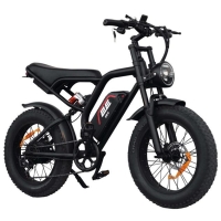Electric Bicycle 2E EB11 20