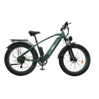 Electric Bicycle 2E EB19 26