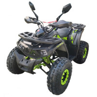 ATV FORTE Shark II 125 black-green