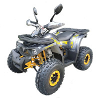 Квадроцикл FORTE Shark II 150 серо-жёлтый