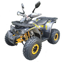 ATV FORTE Shark II 150 Gray-Yellow