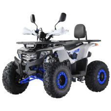Квадроцикл FORTE ATV125F бело-синий
