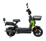 Electric Transport