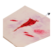 Trauma Simulation Models