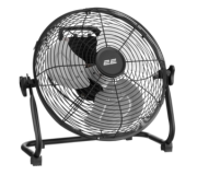 Fans