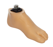 Medical Equipment and Prosthetic-Orthopedic Components