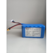 Акумулятор 6S3P 12600 mAh на Molicel P42A