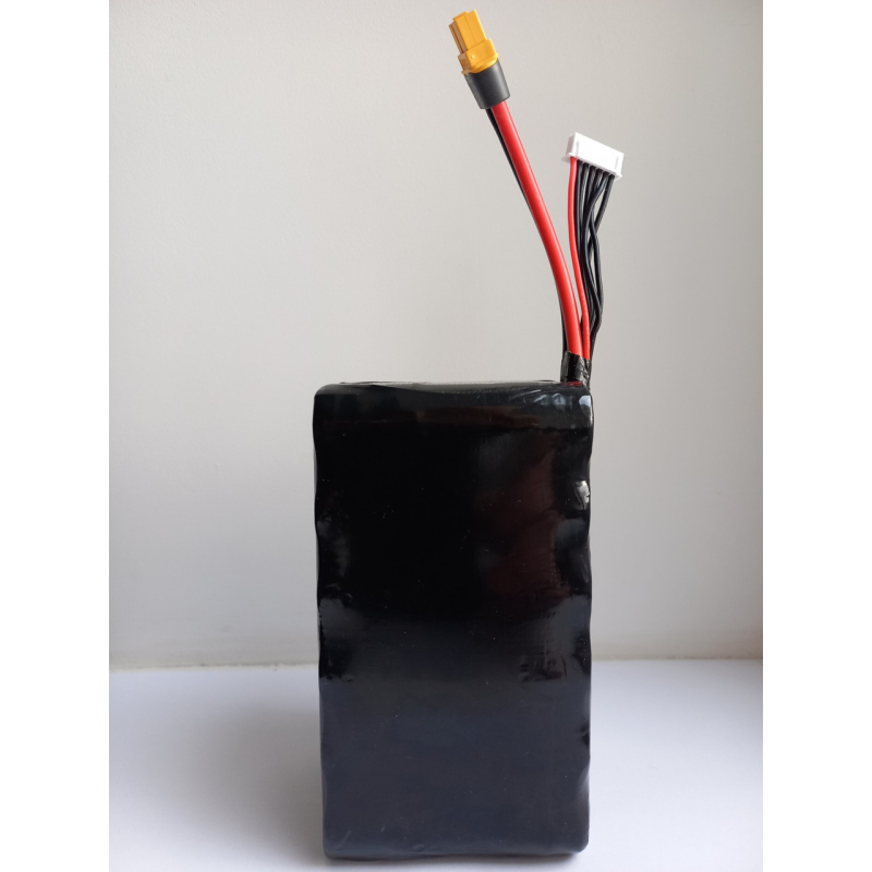Акумулятор 6S3P 12600 mAh на Molicel P42A